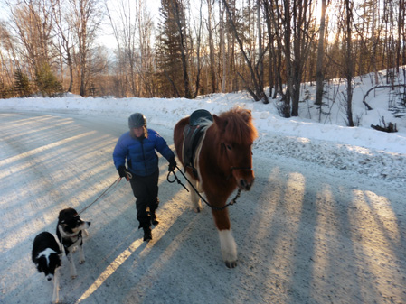 Alys and Hrimmi and Rainbow and Ryder